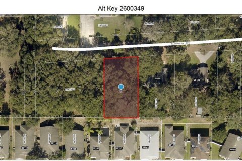 Land in Mount Plymouth, Florida № 1317911 - photo 1