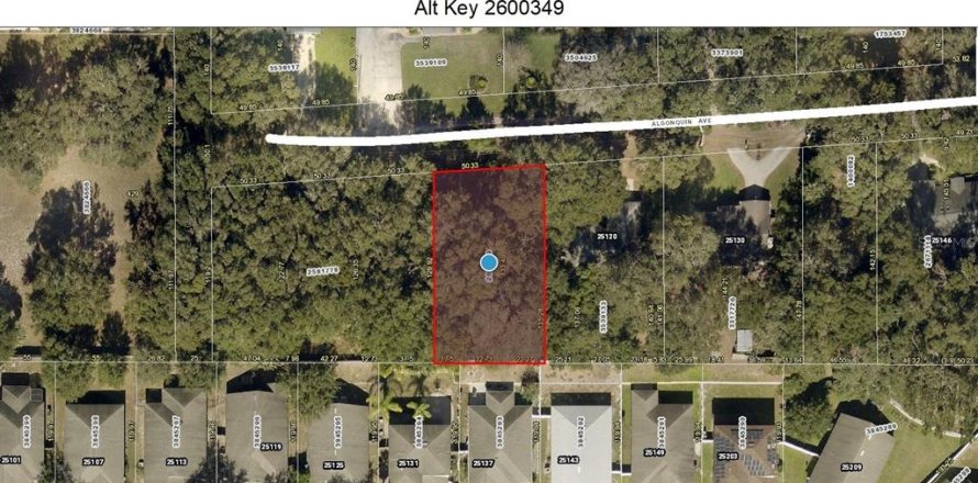 Terreno en Mount Plymouth, Florida № 1317911