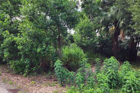 Terreno en venta en Mount Plymouth, Florida № 1317911 - foto 3