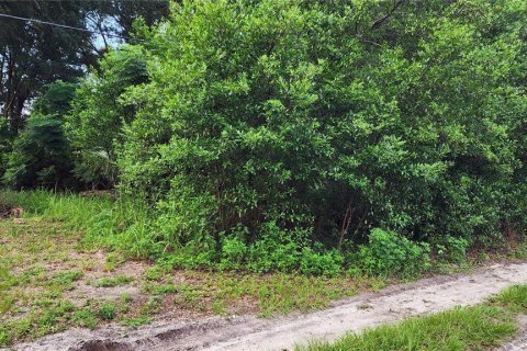 Terreno en venta en Mount Plymouth, Florida № 1317911 - foto 2