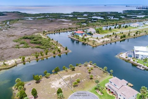 Land in Hernando Beach, Florida № 214140 - photo 1