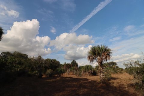 Land in Okeechobee, Florida № 1173176 - photo 5