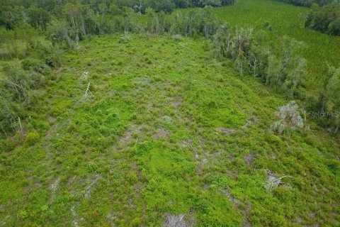 Terrain à vendre à Mayo, Floride № 1301238 - photo 4