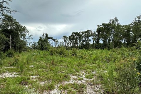 Land in Mayo, Florida № 1301238 - photo 9