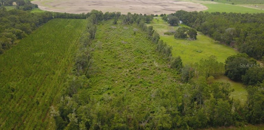 Terreno en Mayo, Florida № 1301238