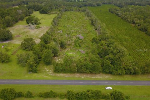 Land in Mayo, Florida № 1301238 - photo 7