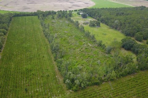 Terreno en venta en Mayo, Florida № 1301238 - foto 6