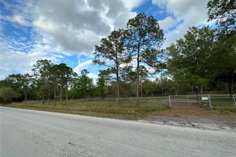 Terreno en venta en Clewiston, Florida № 976051 - foto 9