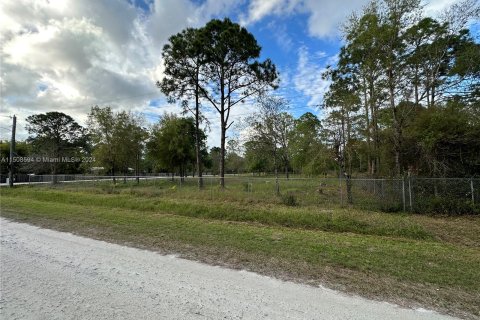 Terreno en venta en Clewiston, Florida № 976051 - foto 5