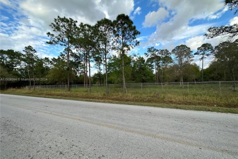 Terreno en venta en Clewiston, Florida № 976051 - foto 12