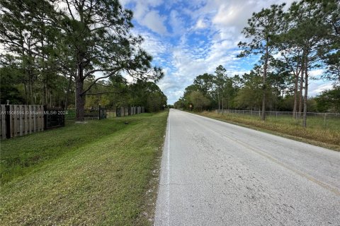Terreno en venta en Clewiston, Florida № 976051 - foto 10