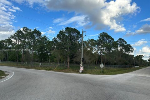 Terreno en venta en Clewiston, Florida № 976051 - foto 1
