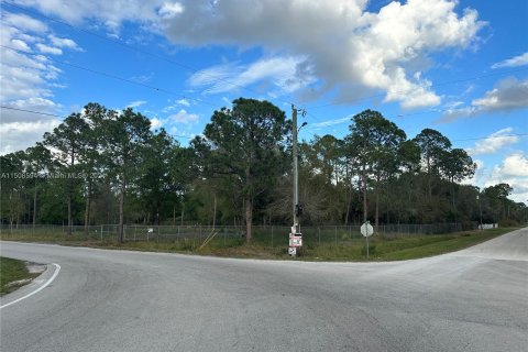 Terreno en venta en Clewiston, Florida № 976051 - foto 3