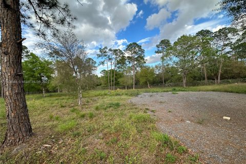 Terrain à vendre à Clewiston, Floride № 976051 - photo 13