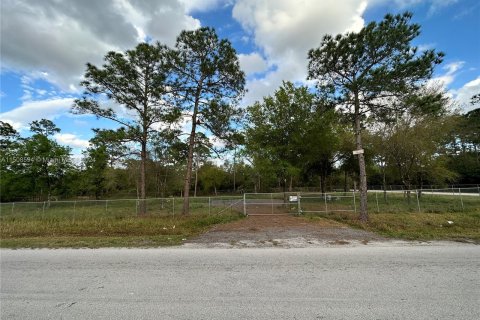 Terreno en venta en Clewiston, Florida № 976051 - foto 8