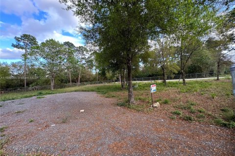 Terrain à vendre à Clewiston, Floride № 976051 - photo 14