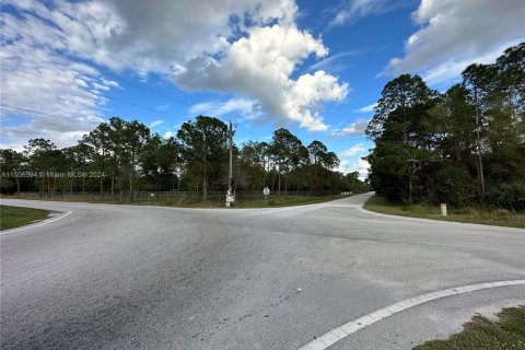 Terrain à vendre à Clewiston, Floride № 976051 - photo 4