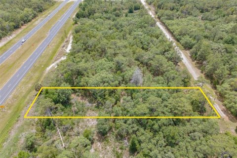 Terreno en venta en Brooksville, Florida № 1334539 - foto 4