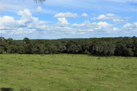 Terrain à vendre à Dade City, Floride № 982460 - photo 21