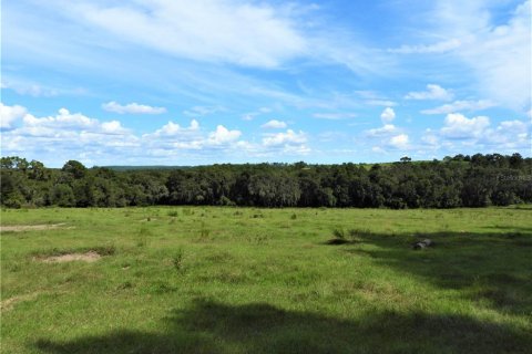 Terrain à vendre à Dade City, Floride № 982460 - photo 4