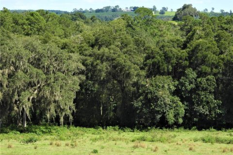 Terrain à vendre à Dade City, Floride № 982460 - photo 16