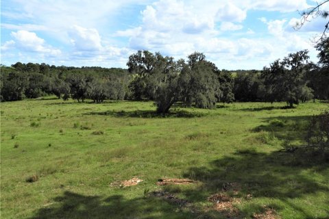 Terrain à vendre à Dade City, Floride № 982460 - photo 2