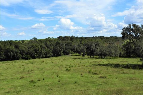 Terreno en venta en Dade City, Florida № 982460 - foto 20