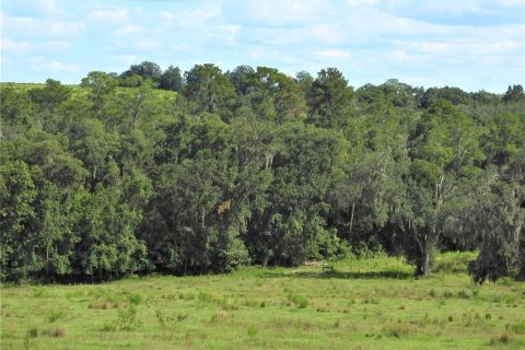 Land in Dade City, Florida № 982460 - photo 7