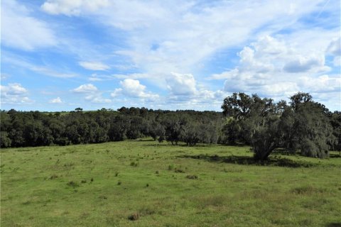 Terrain à vendre à Dade City, Floride № 982460 - photo 15