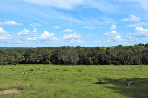 Terreno en venta en Dade City, Florida № 982460 - foto 5