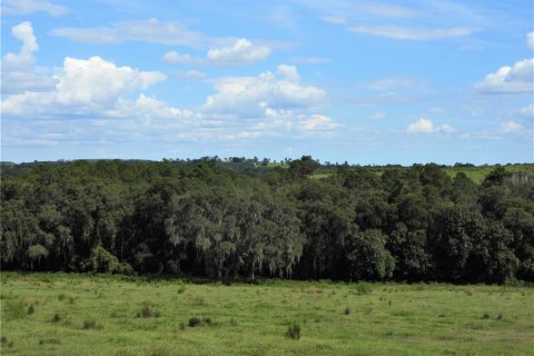 Terrain à vendre à Dade City, Floride № 982460 - photo 11