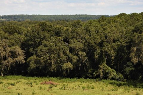 Terrain à vendre à Dade City, Floride № 982460 - photo 17