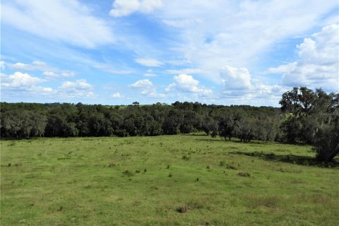 Land in Dade City, Florida № 982460 - photo 13