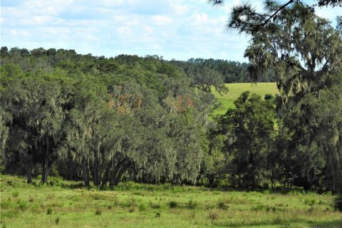 Terreno en venta en Dade City, Florida № 982460 - foto 6