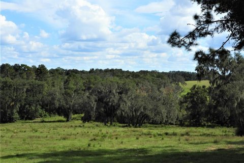 Terrain à vendre à Dade City, Floride № 982460 - photo 12