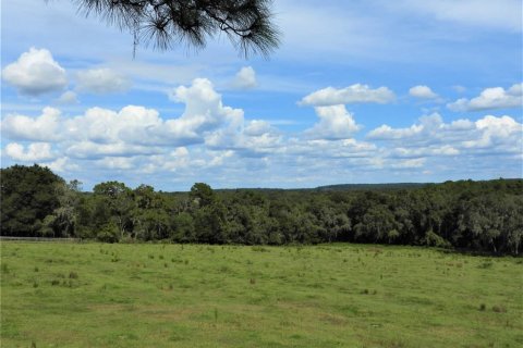 Terrain à vendre à Dade City, Floride № 982460 - photo 22