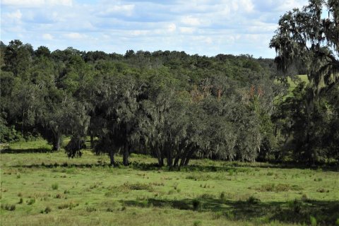 Land in Dade City, Florida № 982460 - photo 18