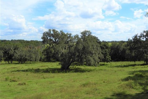 Terrain à vendre à Dade City, Floride № 982460 - photo 19