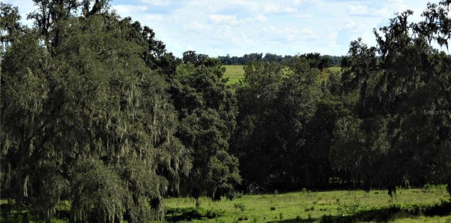 Terreno en Dade City, Florida № 982460