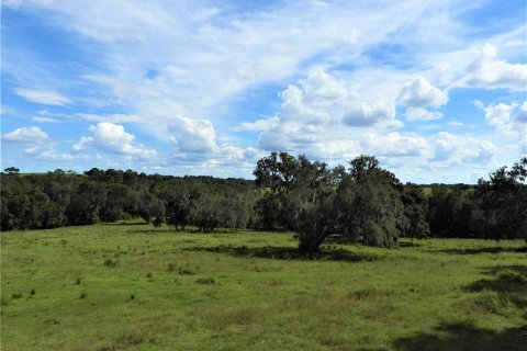 Terreno en venta en Dade City, Florida № 982460 - foto 14