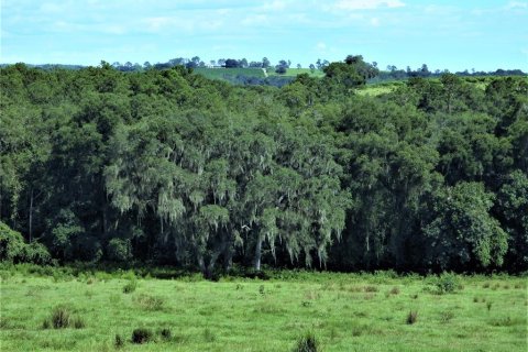 Terreno en venta en Dade City, Florida № 982460 - foto 8