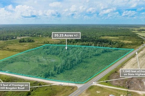 Terreno en venta en Wewahitchka, Florida № 1255564 - foto 2