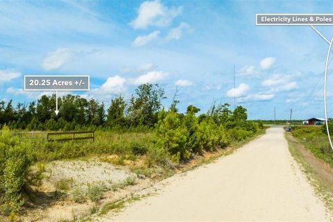 Terreno en venta en Wewahitchka, Florida № 1255564 - foto 5