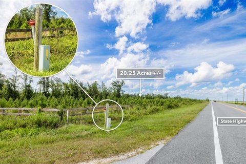 Terreno en venta en Wewahitchka, Florida № 1255564 - foto 17