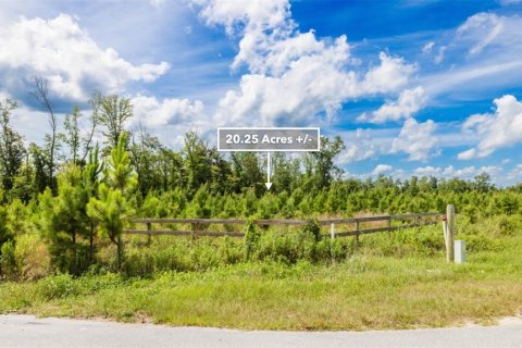 Terreno en venta en Wewahitchka, Florida № 1255564 - foto 21