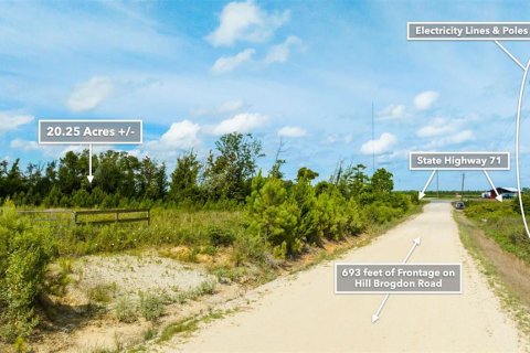 Terreno en venta en Wewahitchka, Florida № 1255564 - foto 25