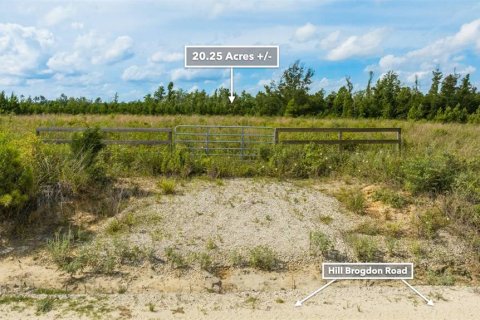 Land in Wewahitchka, Florida № 1255564 - photo 26