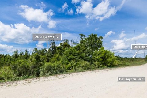 Terreno en venta en Wewahitchka, Florida № 1255564 - foto 24