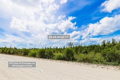 Terreno en venta en Wewahitchka, Florida № 1255564 - foto 27