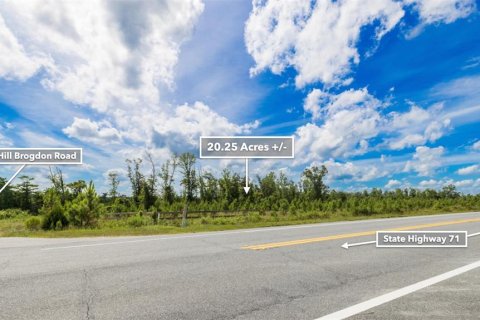 Terreno en venta en Wewahitchka, Florida № 1255564 - foto 19